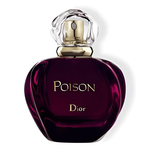 dior poision perfume|dior poison perfume at walmart.